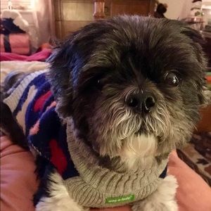 Meet your Posher, Elaine